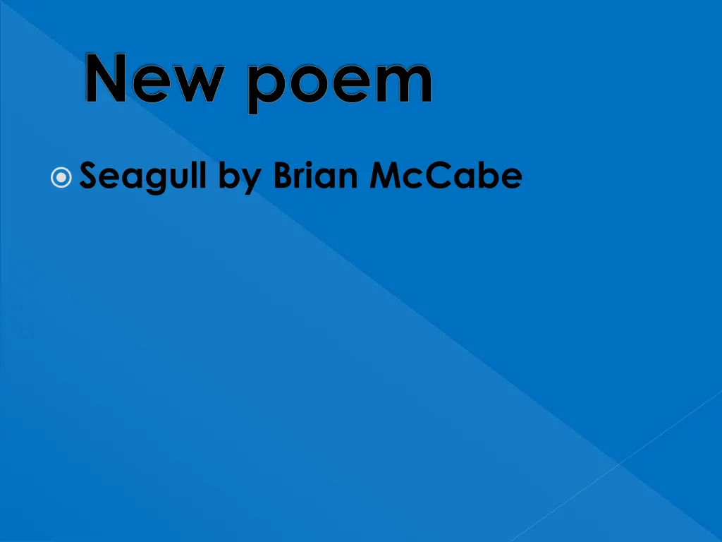 seagull by brian mccabe