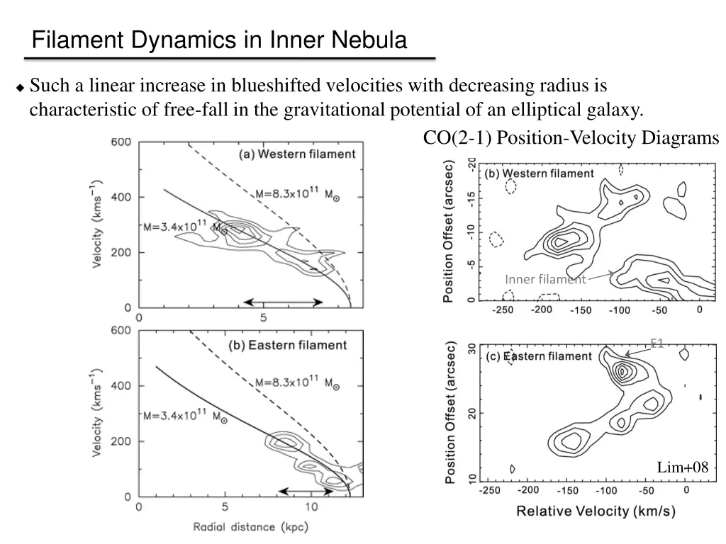 filament dynamics in inner nebula
