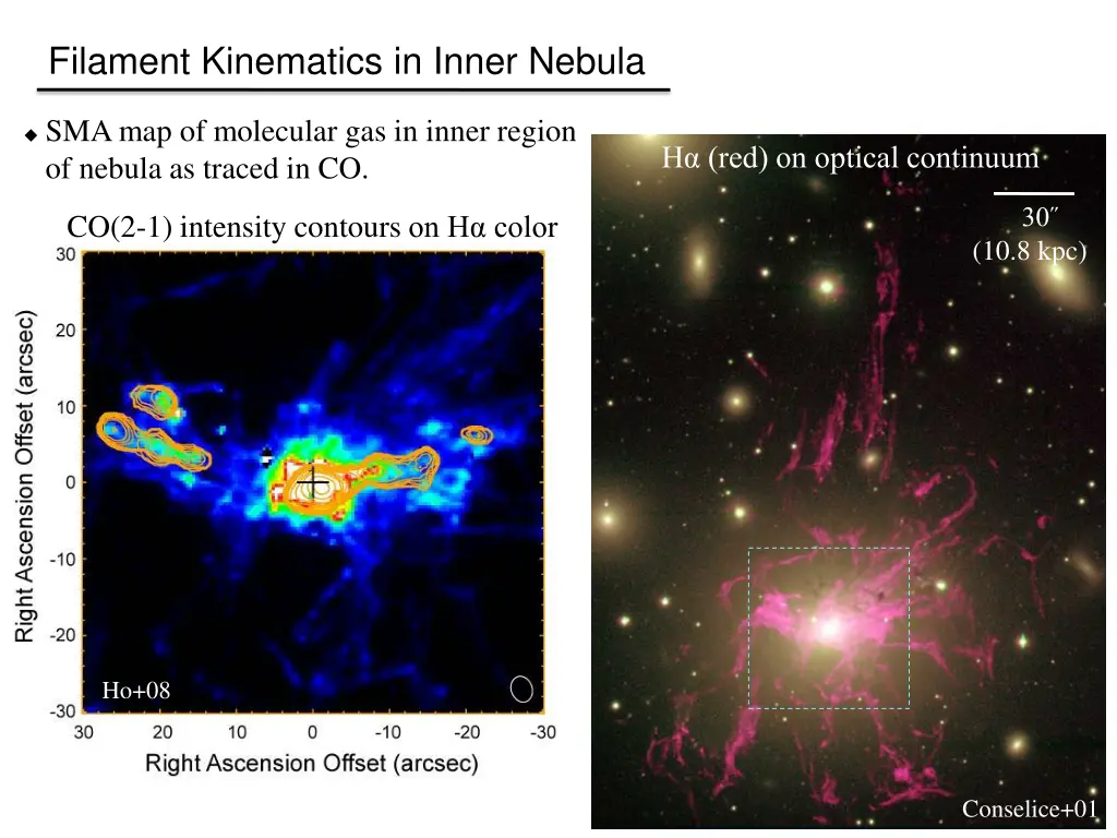 filament kinematics in inner nebula