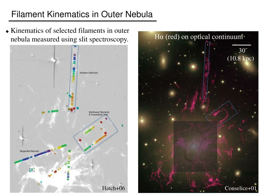 filament kinematics in outer nebula 1