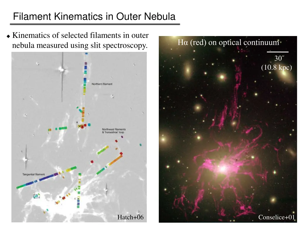 filament kinematics in outer nebula