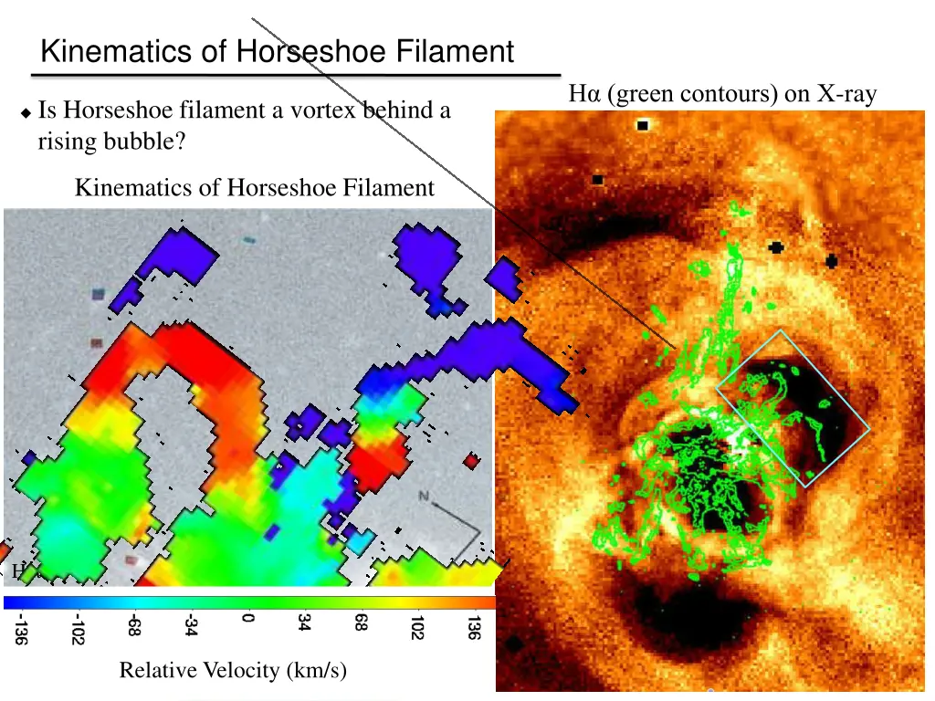 kinematics of horseshoe filament