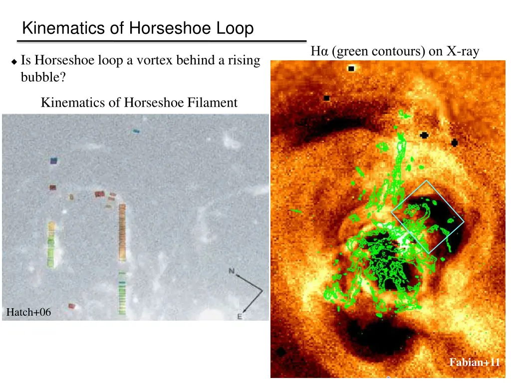 kinematics of horseshoe loop 1