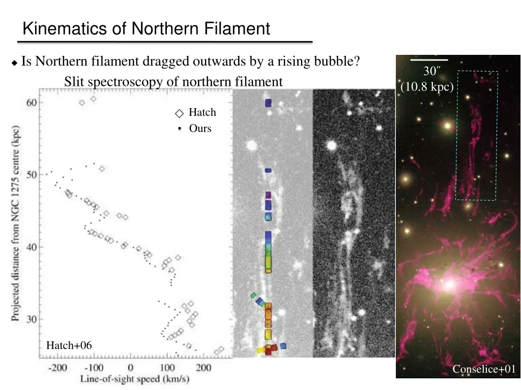 kinematics of northern filament 1