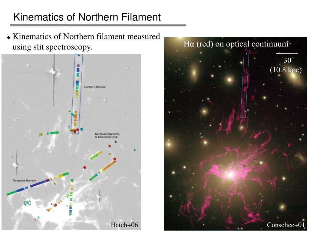 kinematics of northern filament