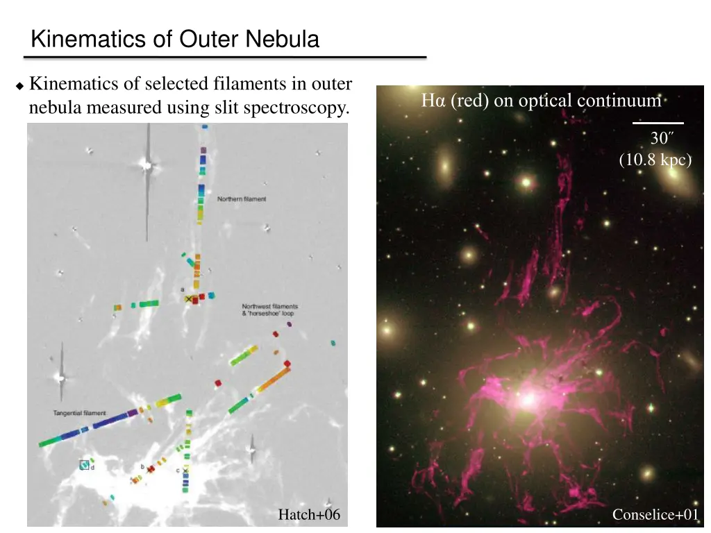 kinematics of outer nebula
