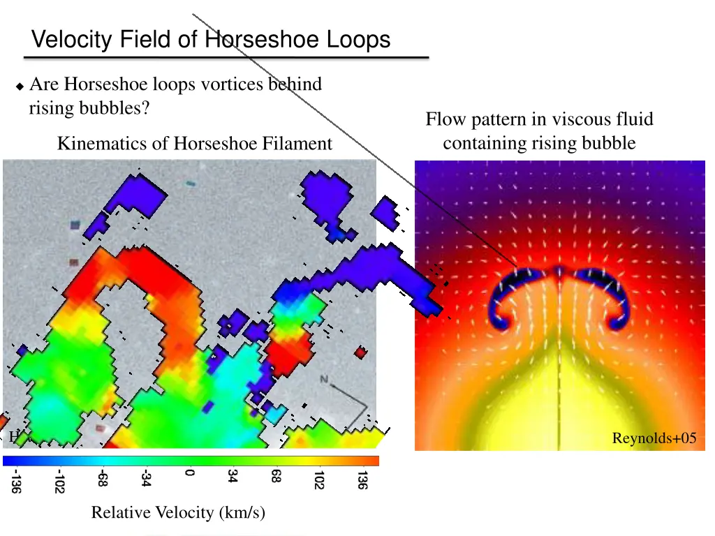 velocity field of horseshoe loops