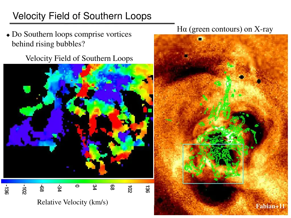 velocity field of southern loops