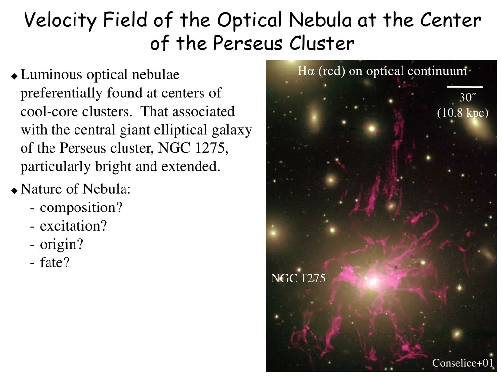 velocity field of the optical nebula 1