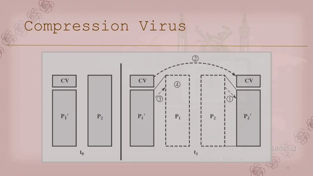 compression virus 1