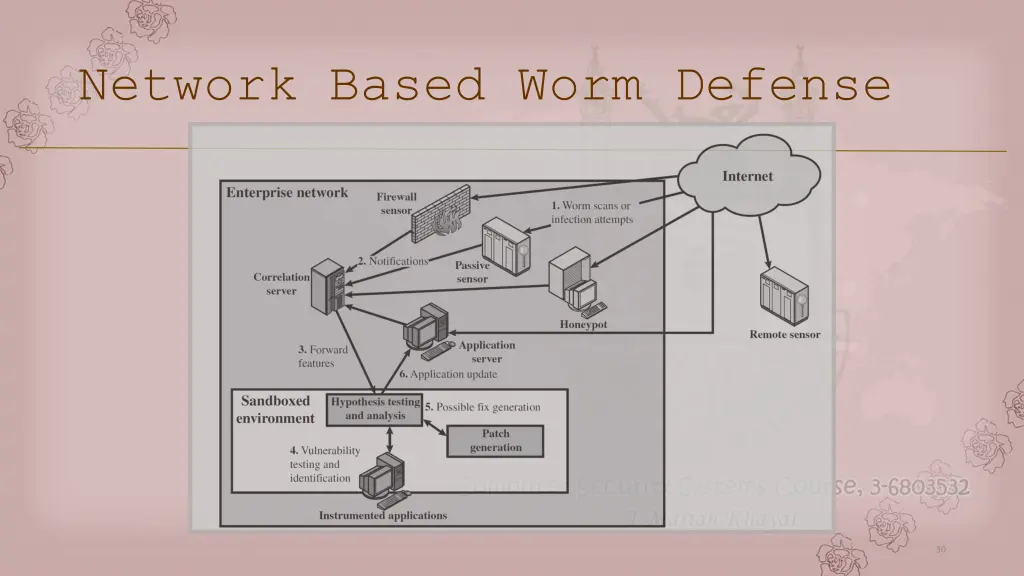 network based worm defense