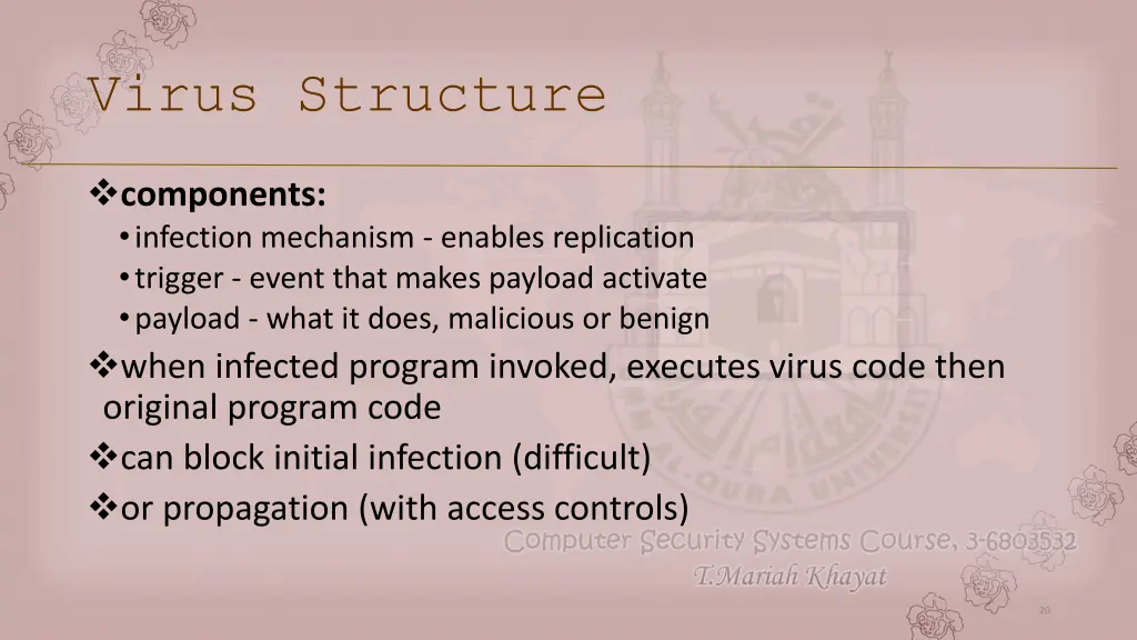 virus structure