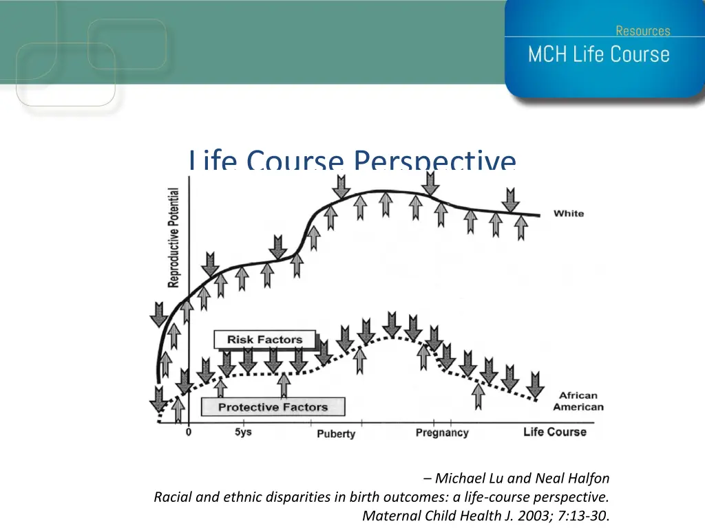 life course perspective