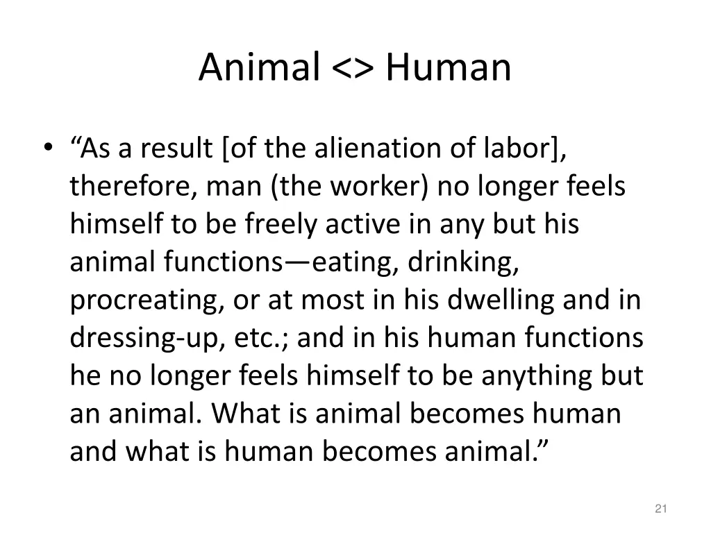 animal human