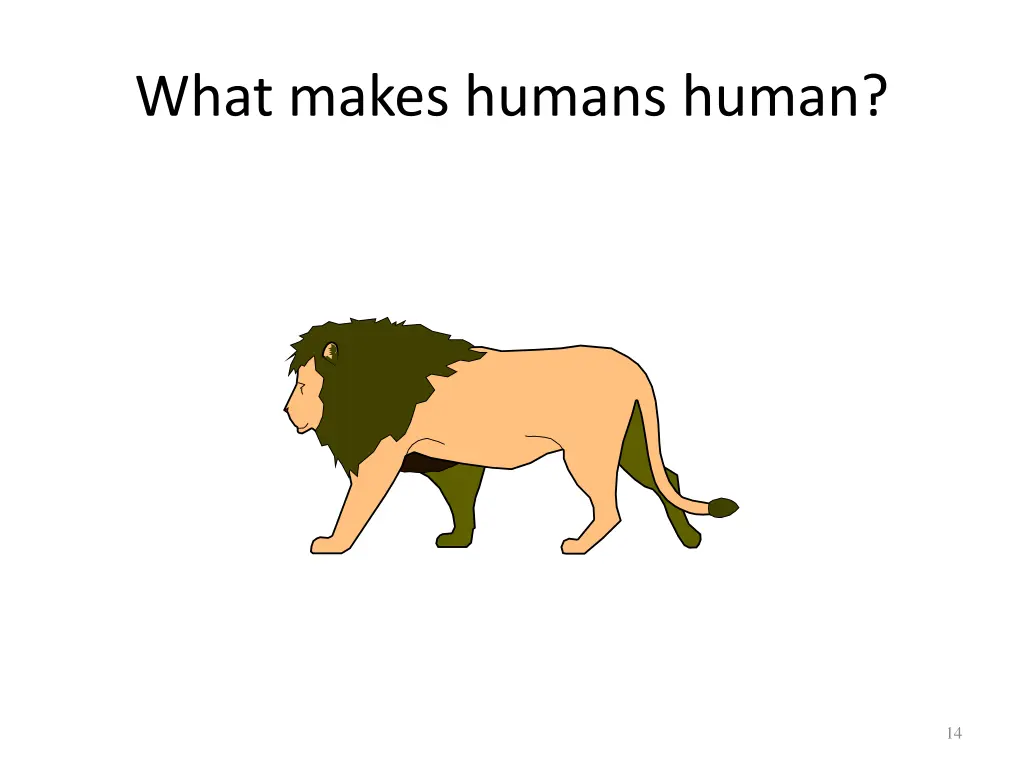 what makes humans human