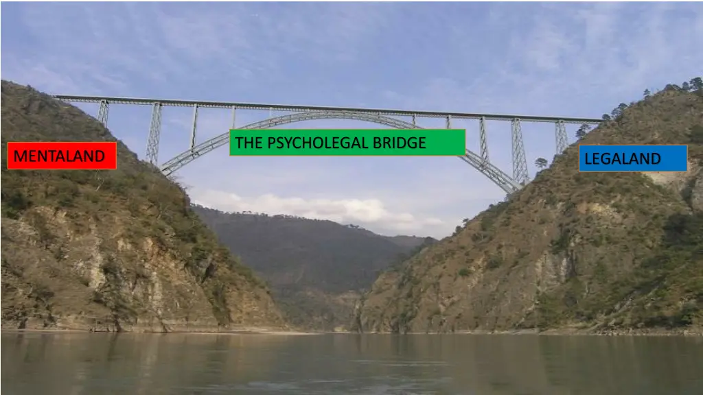 the psycholegal bridge