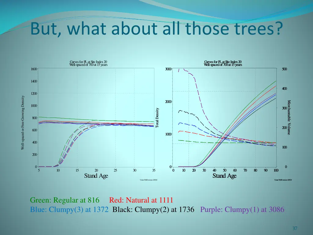 but what about all those trees 1