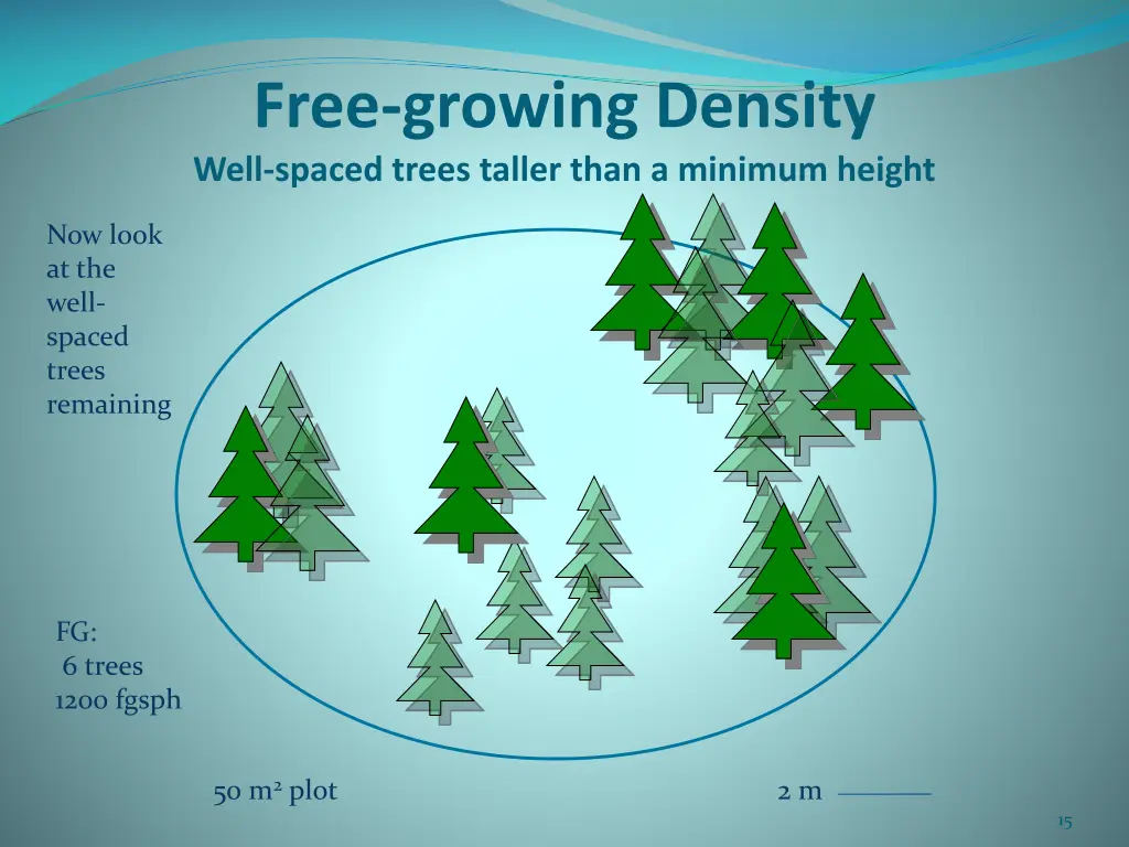 free growing density well spaced trees taller 1