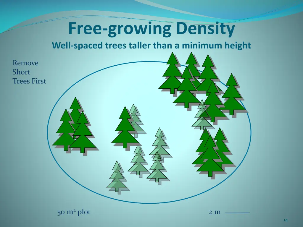 free growing density well spaced trees taller