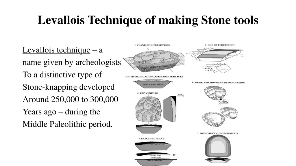 levallois technique of making stone tools