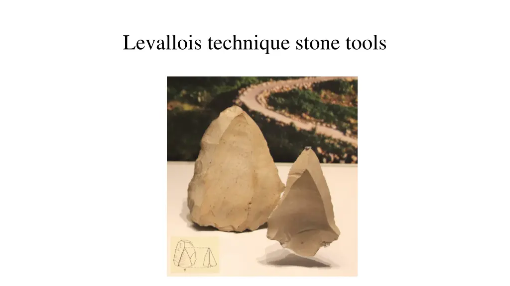 levallois technique stone tools
