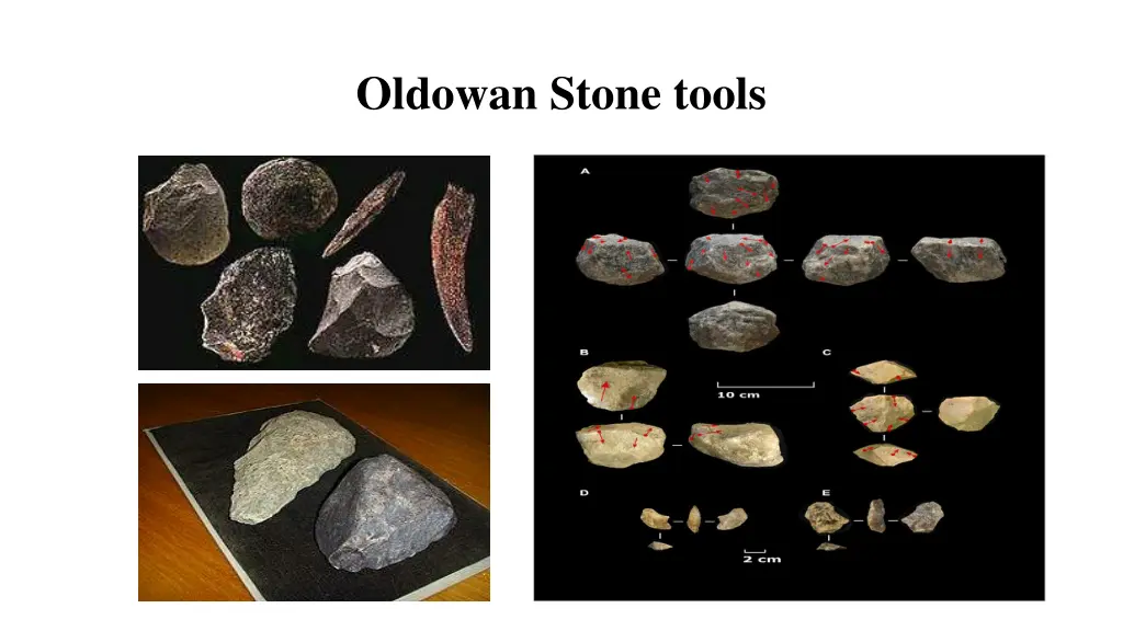 oldowan stone tools