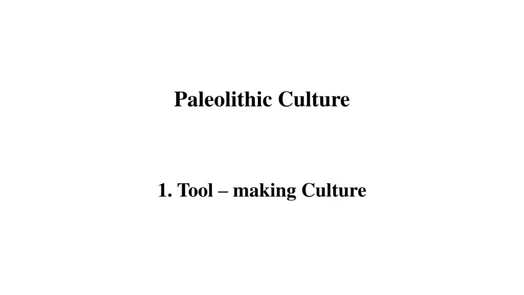 paleolithic culture