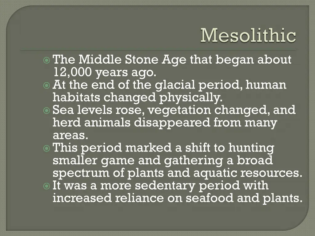 the middle stone age that began about