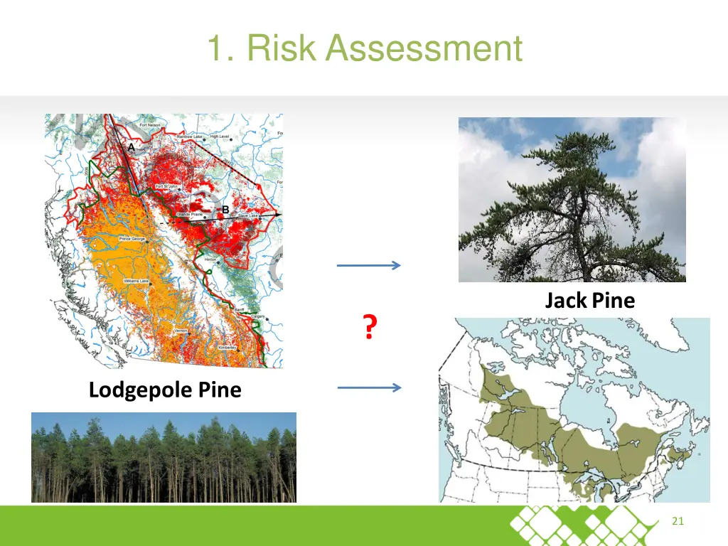 1 risk assessment 1