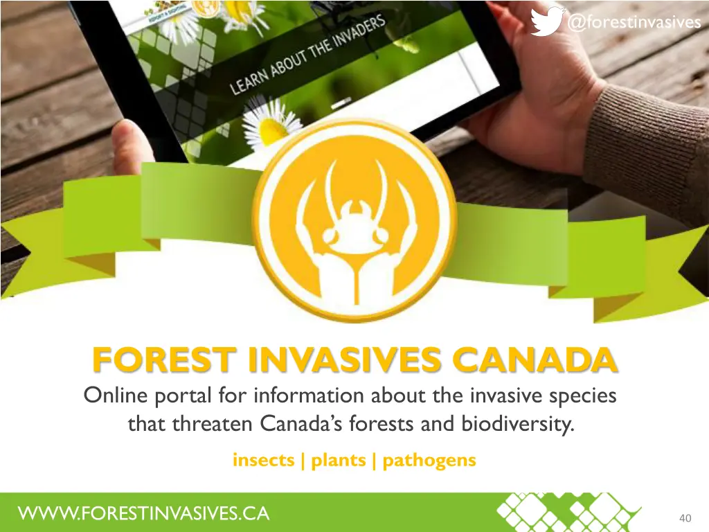 @forestinvasives