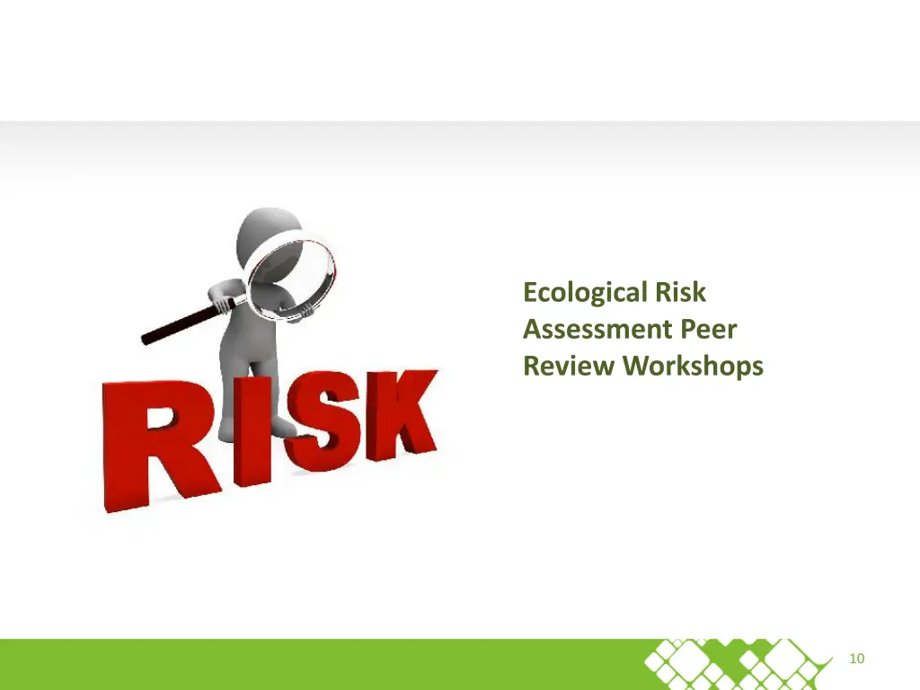 ecological risk assessment peer review workshops