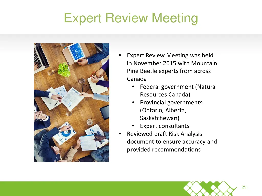 expert review meeting