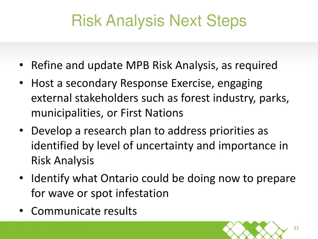 risk analysis next steps