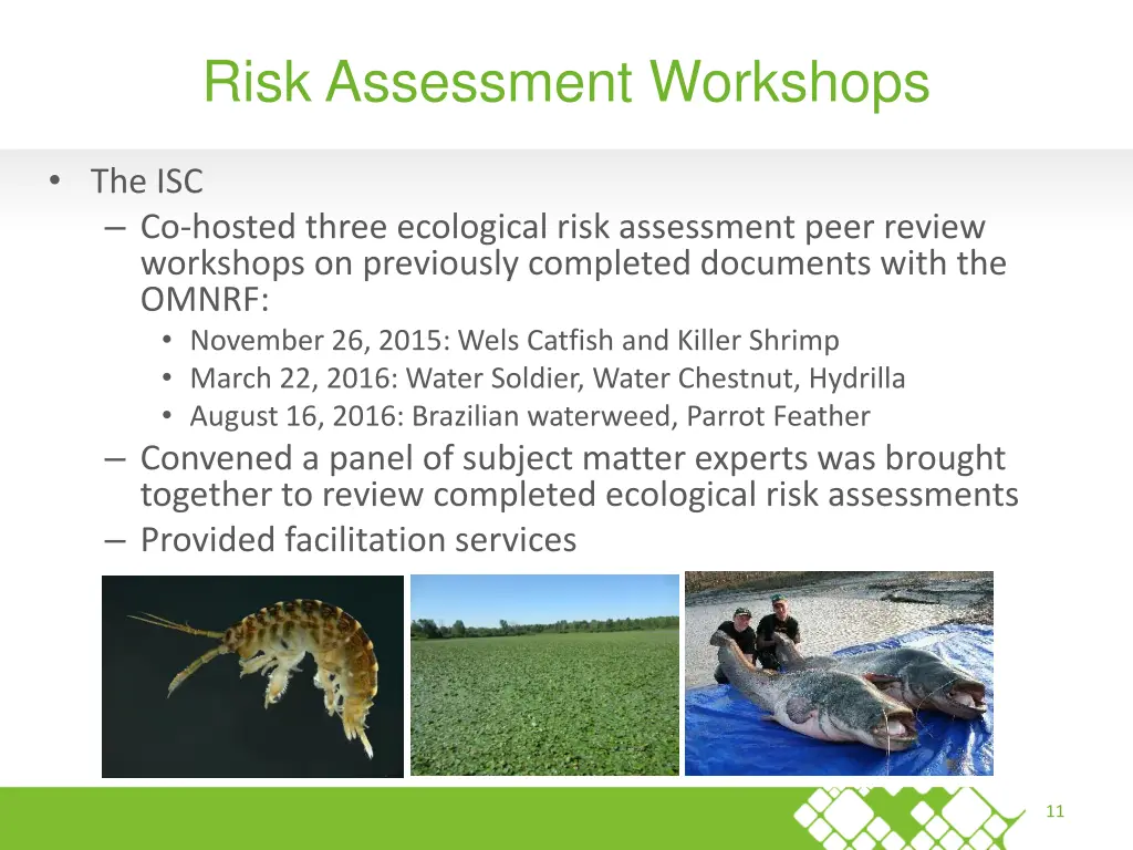 risk assessment workshops