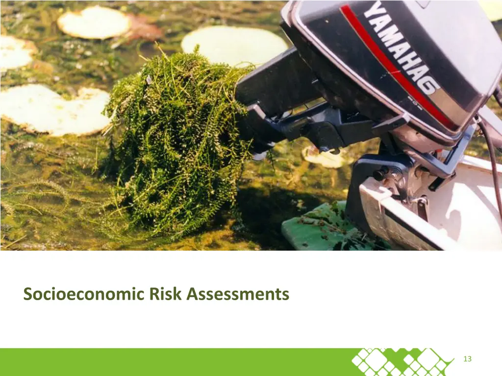 socioeconomic risk assessments