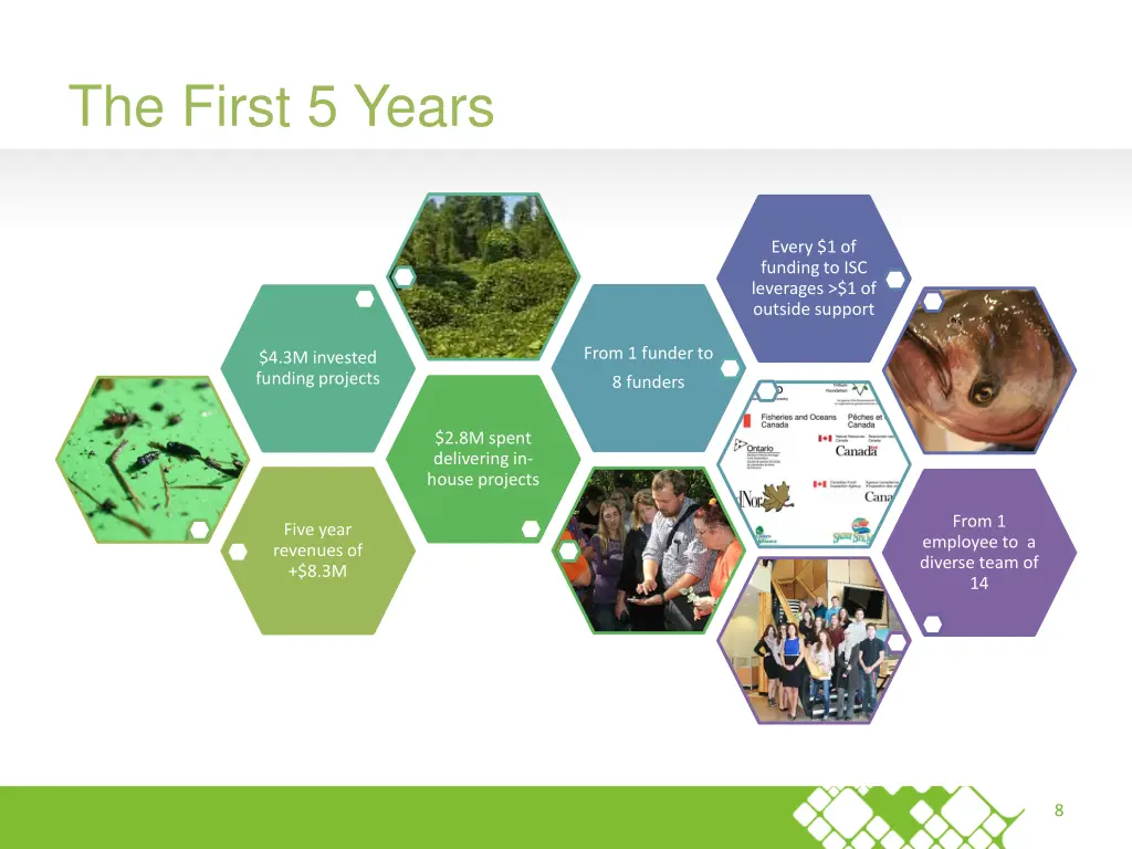 the first 5 years