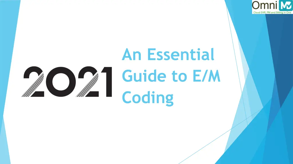 an essential guide to e m coding