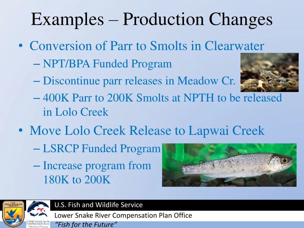 examples production changes