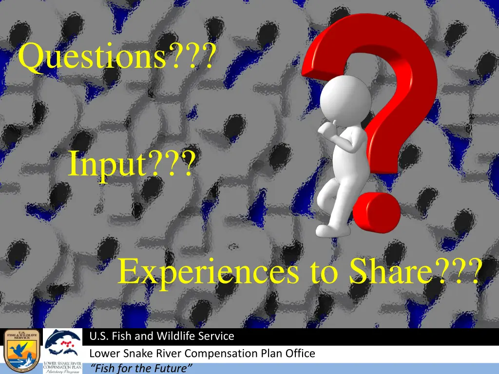 questions