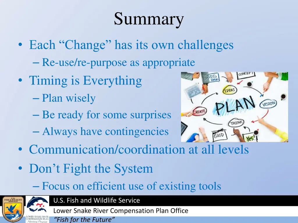 summary