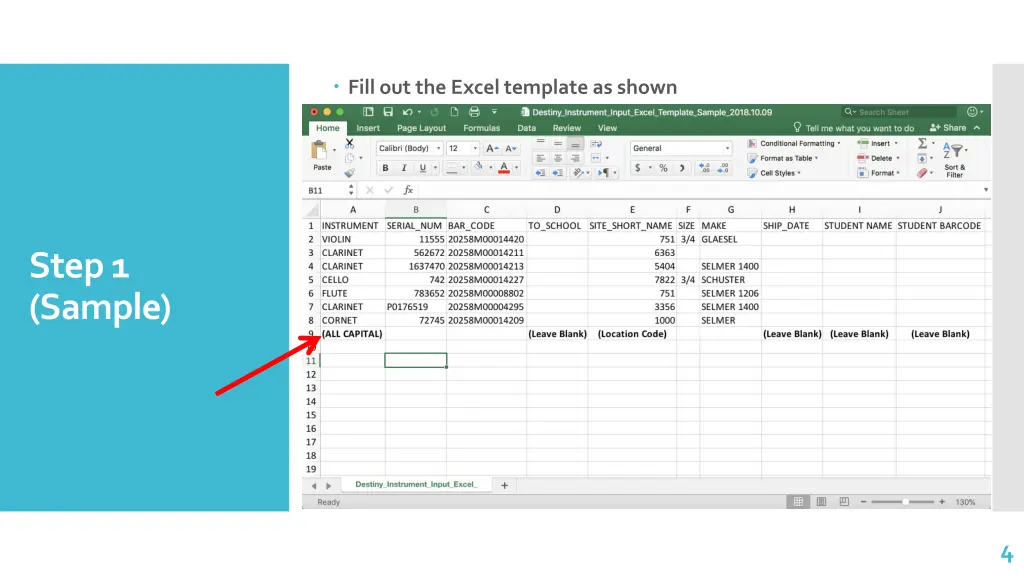 fill out the excel template as shown