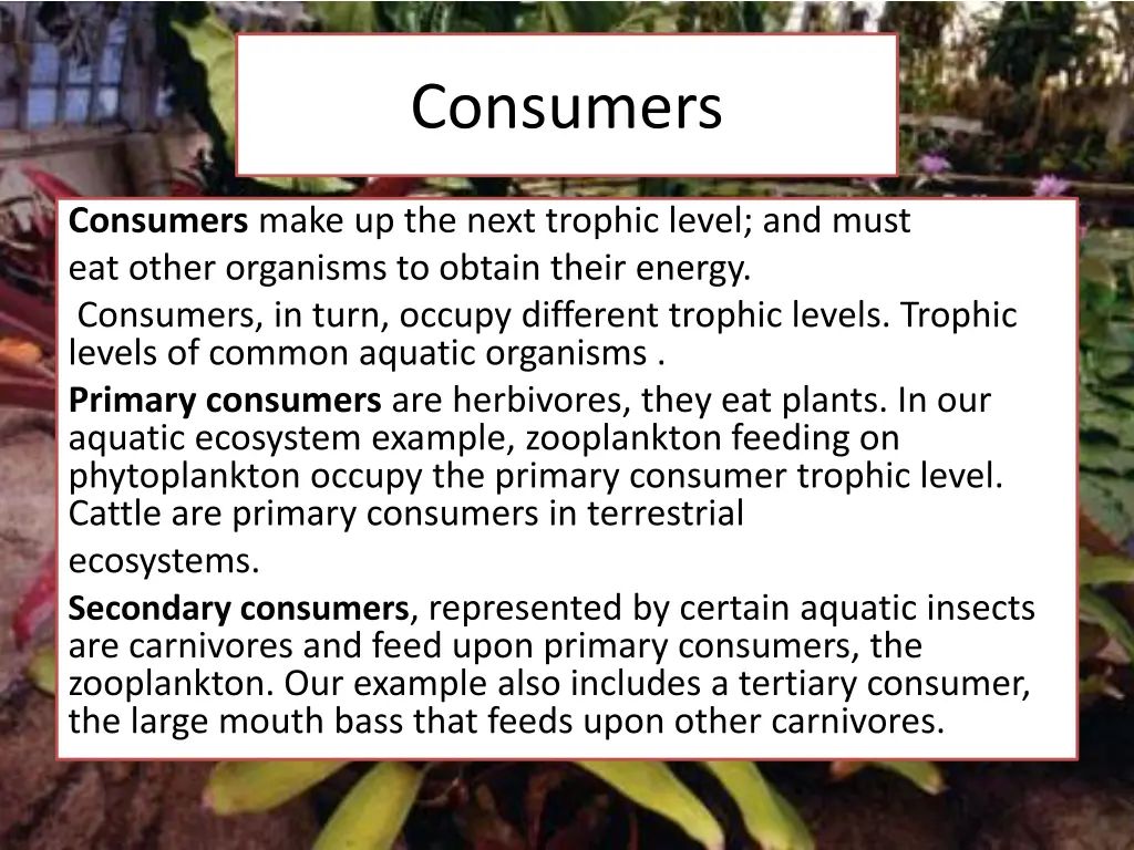 consumers