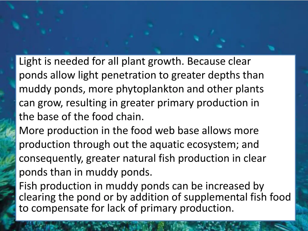 light is needed for all plant growth because