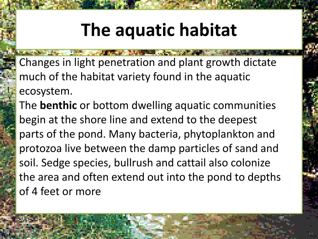 the aquatic habitat