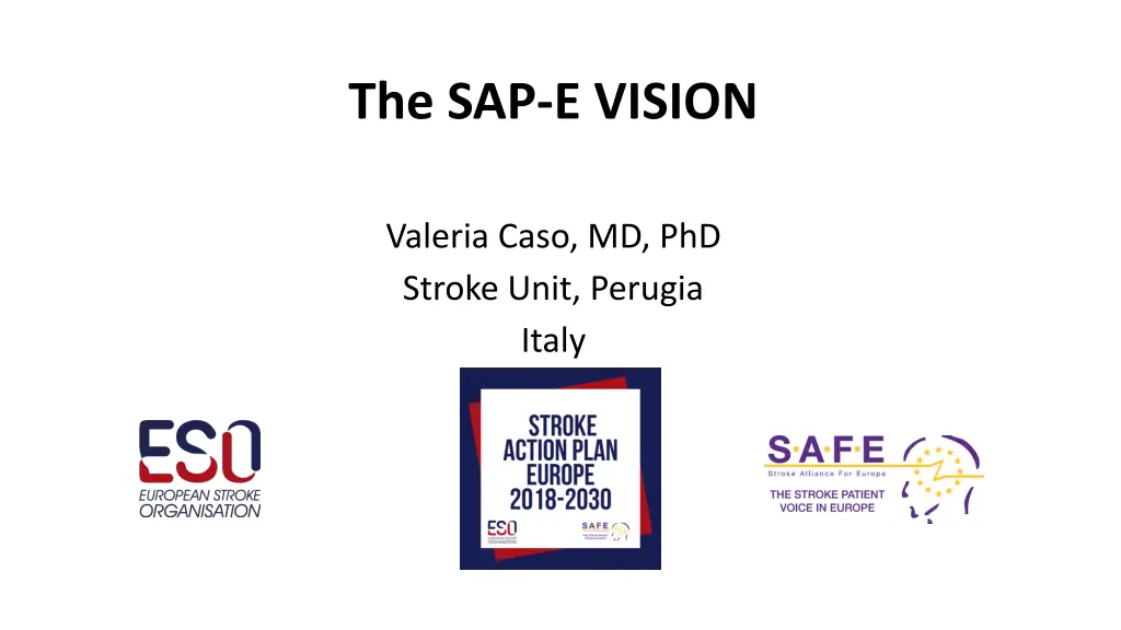 the sap e vision