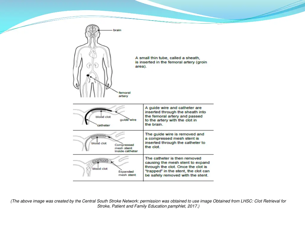 the above image was created by the central south