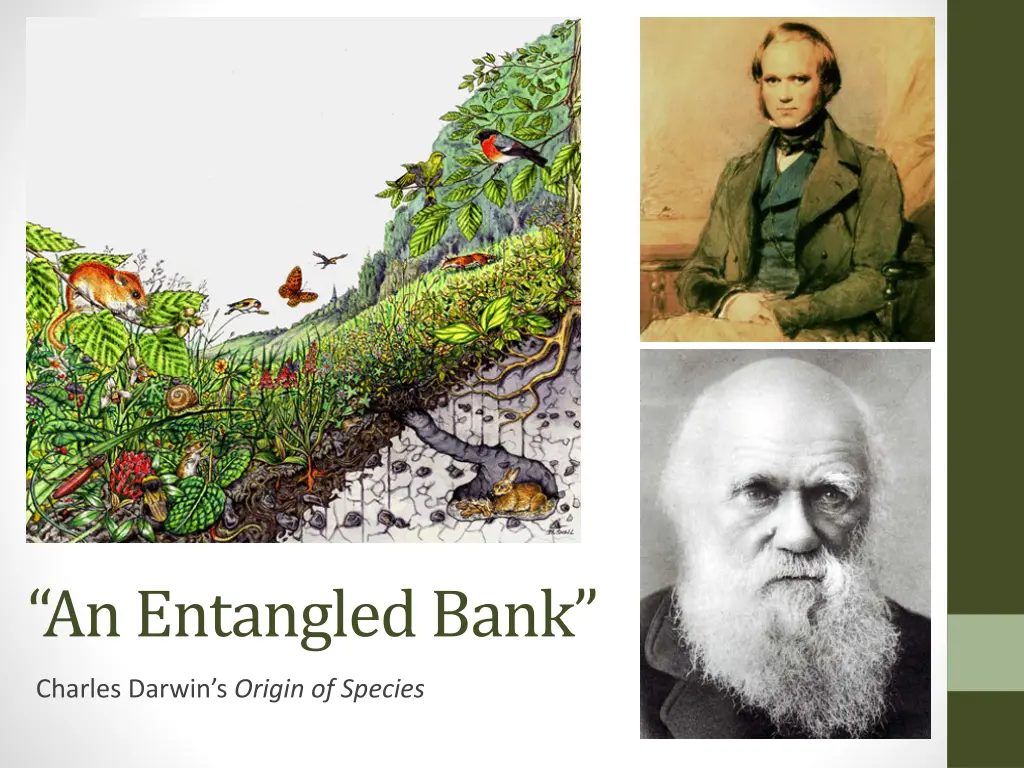 an entangled bank