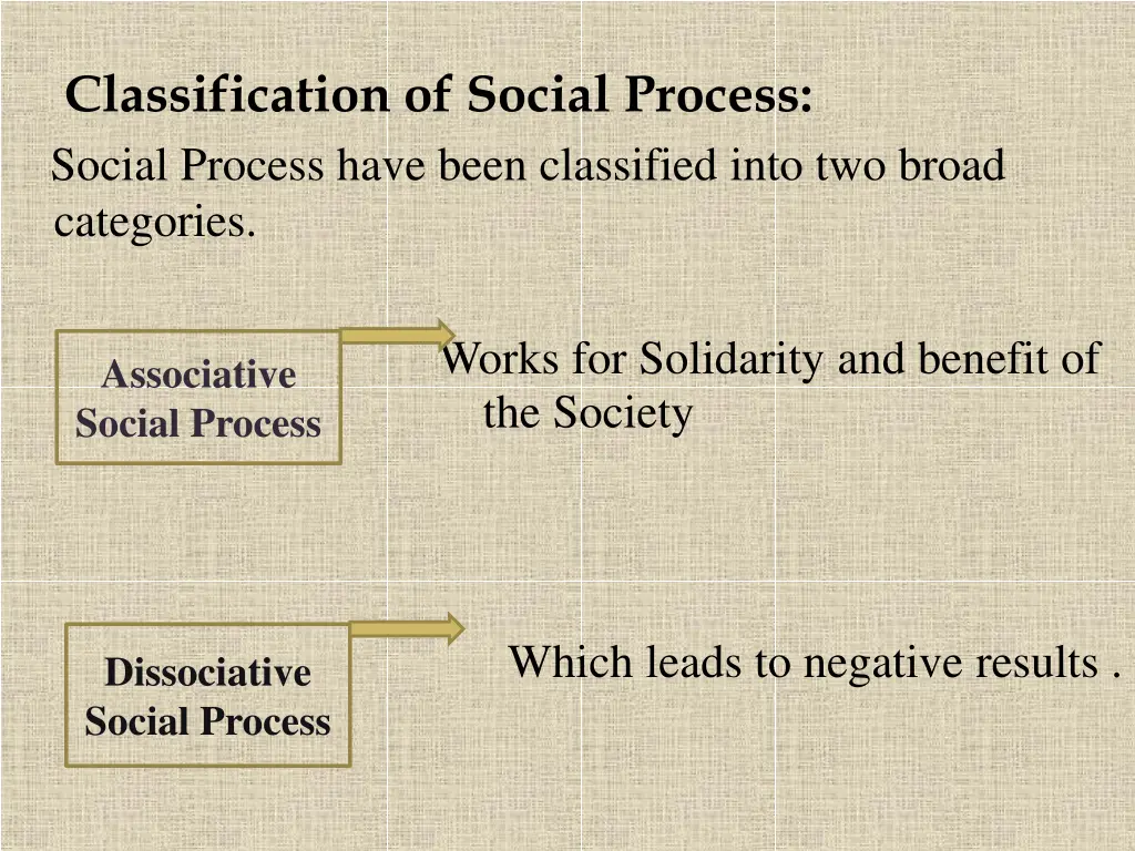classification of social process social process