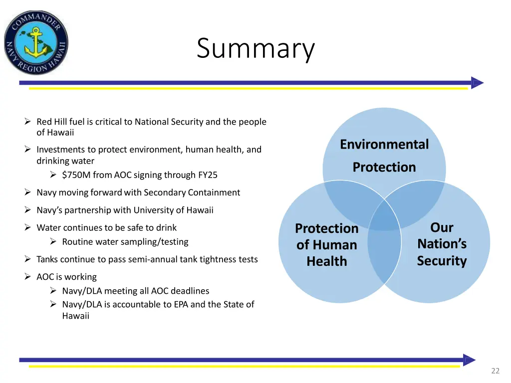 summary