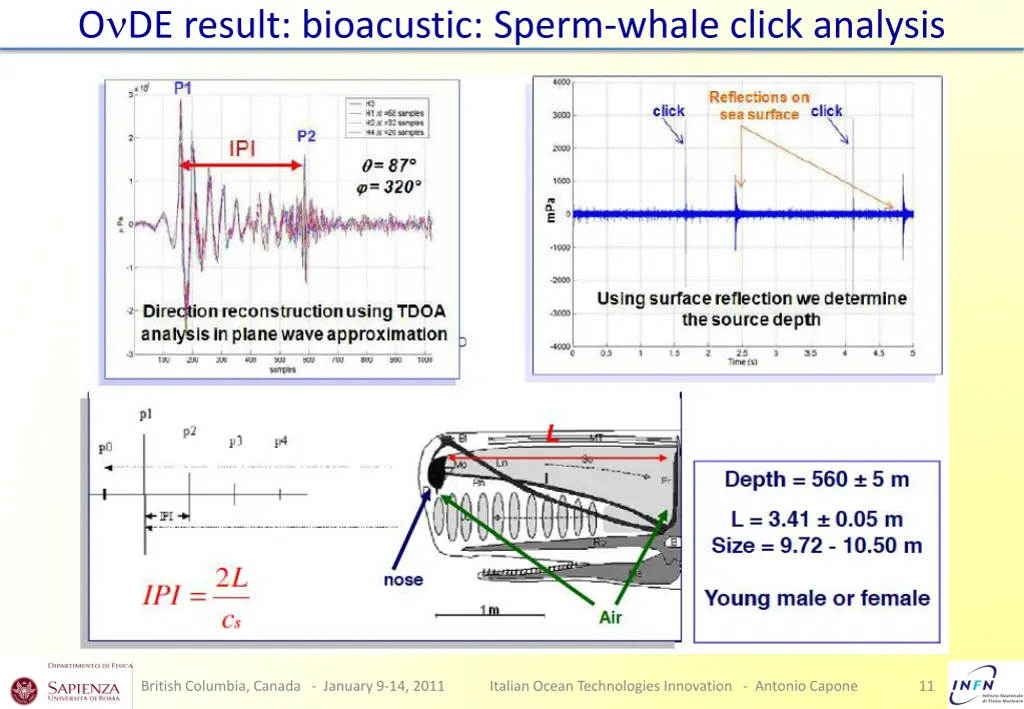 o de result bioacustic sperm whale click analysis